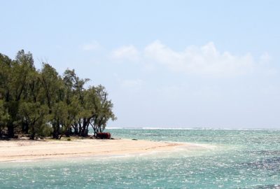 ile aux cerfs mauritius